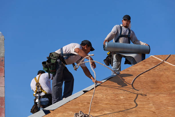 Professional Roofing Contractor in Versailles, MO